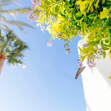 Hd Parque Cristobal Tenerife 3* Playa de las Américas