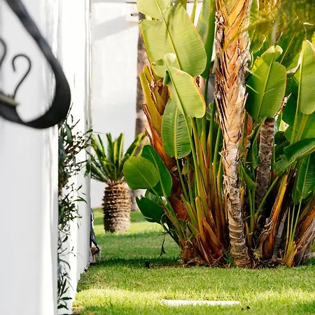 Hd Parque Cristobal Tenerife Resort Playa de las Americas (Tenerife)