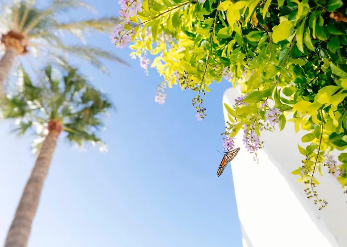 Hd Parque Cristobal Tenerife 3* Playa de las Americas (Tenerife)